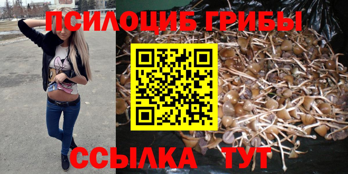 Псилоцибиновые грибы Psilocybe  Вход с VPN  Кушва  Галлюциногенные грибы мухоморы 