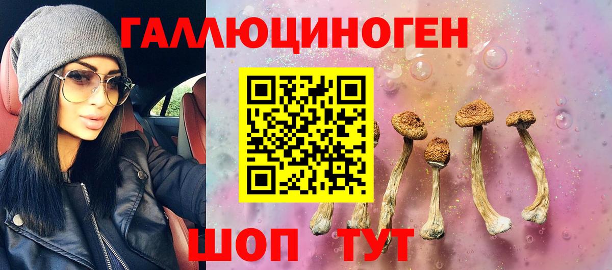 Псилоцибиновые грибы мицелий Кушва